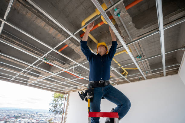 Best Plumbing Inspection Services  in Chambersburg, PA
